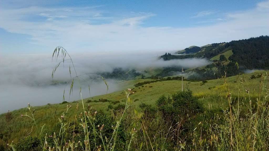 Windy Hill Open Space Preserve | Portola Valley, CA 94028, USA | Phone: (650) 691-1200