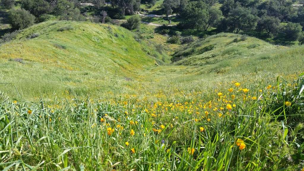 Quigley Canyon Open Space | Fino Mtwy, Santa Clarita, CA 91350, USA