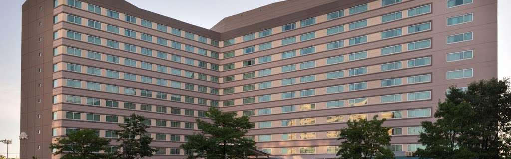 Holiday Inn and Suites Chicago OHare Rosemont Hotel | 10233 W Higgins Rd, Rosemont, IL 60018, USA | Phone: (847) 954-8600