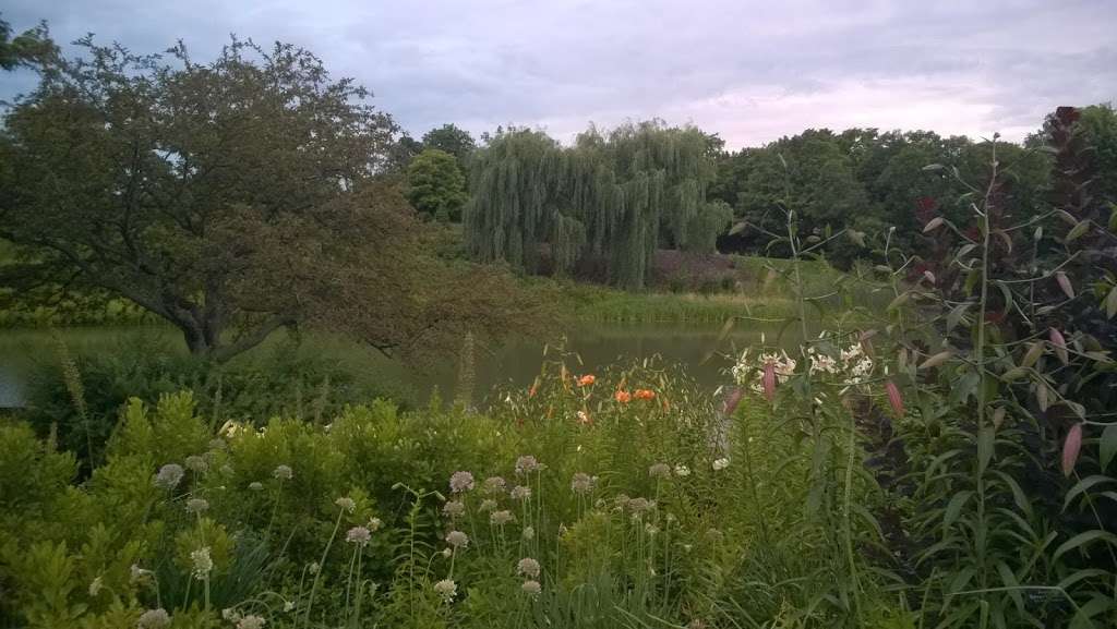 Aquatic Garden | Northbrook, IL 60062