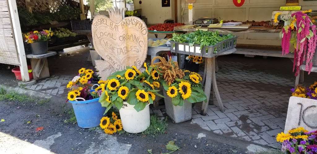 Gospel Flat Farm Stand | Bolinas, CA 94924, USA