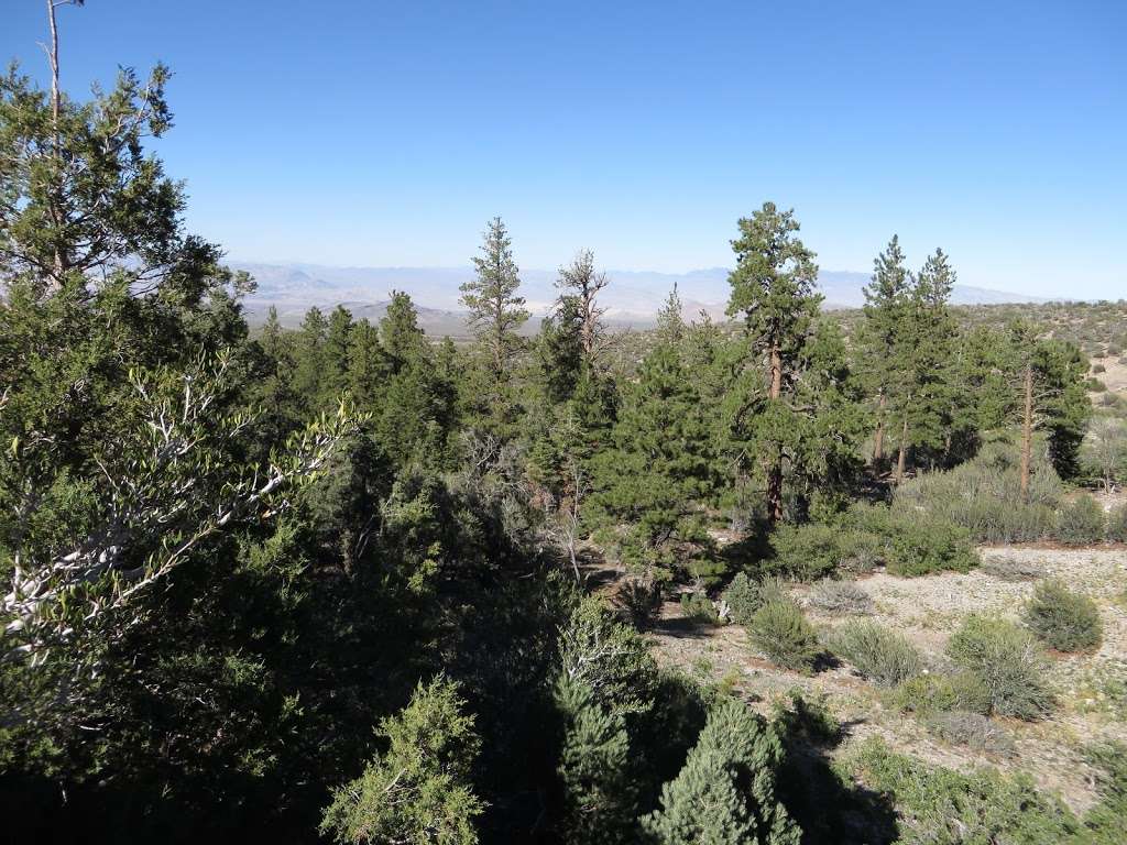 Bonanza Trail, North Trailhead | Las Vegas, NV 89124