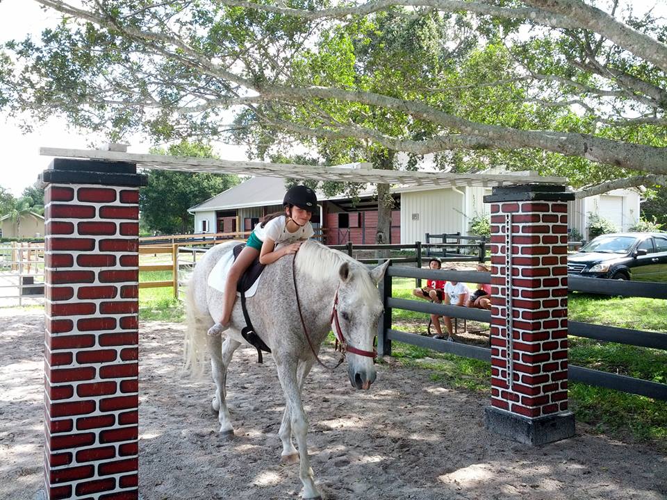 Staffordshire Equestrian Center Inc. | 8656 Surrey Ln, Boca Raton, FL 33496, USA | Phone: (561) 445-3946