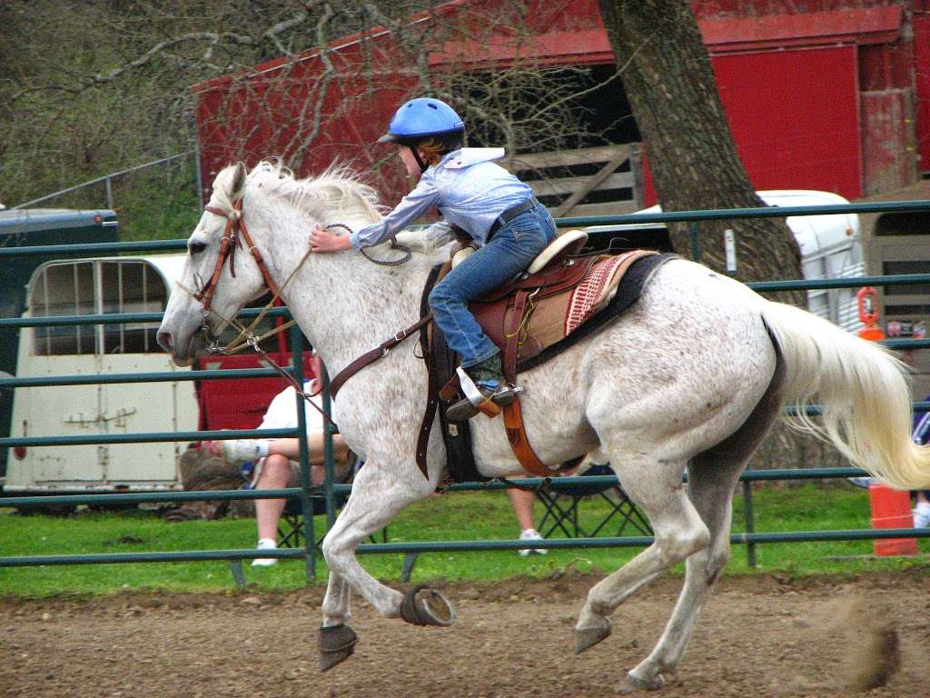 Sunset Trails Stables | 2100 SE Ranson Rd, Lees Summit, MO 64082, USA | Phone: (816) 554-7699