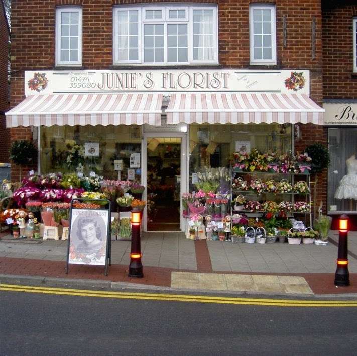Junies Florist | 88 Parrock Rd, Gravesend DA12 1QF, UK | Phone: 01474 359080