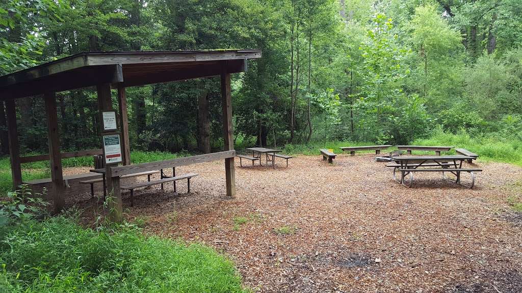 Walker Nature Center Campfire Ring | The Turquoise Trail, Reston, VA 20191