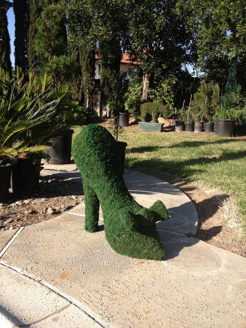 Chris Topiary | 9004 Copley Ln, Riverside, CA 92503 | Phone: (951) 352-3526