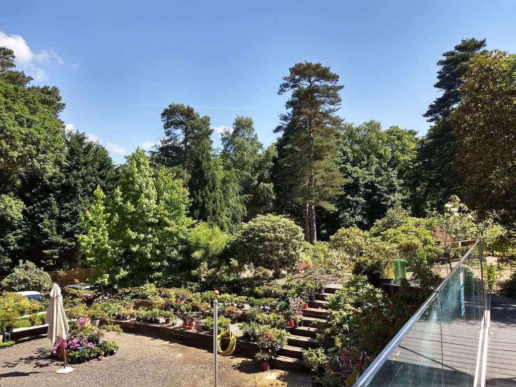 Reuthes Nursery & Gardens | Crown Point Nursery, Sevenoaks Rd, Seal Chart, Sevenoaks TN15 0HB, UK | Phone: 07415 555007