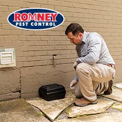 Romney Pest Control | 16920 Kuykendahl Rd, Houston, TX 77068, USA | Phone: (281) 781-7650