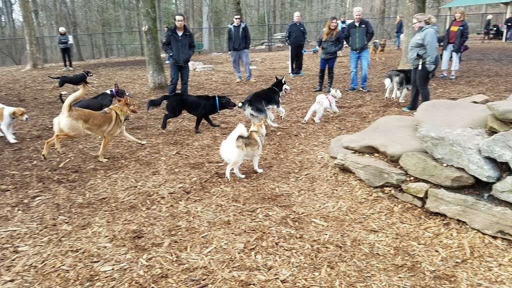 Cabin John Dog Park | Bethesda, MD 20817, USA | Phone: (301) 495-2595