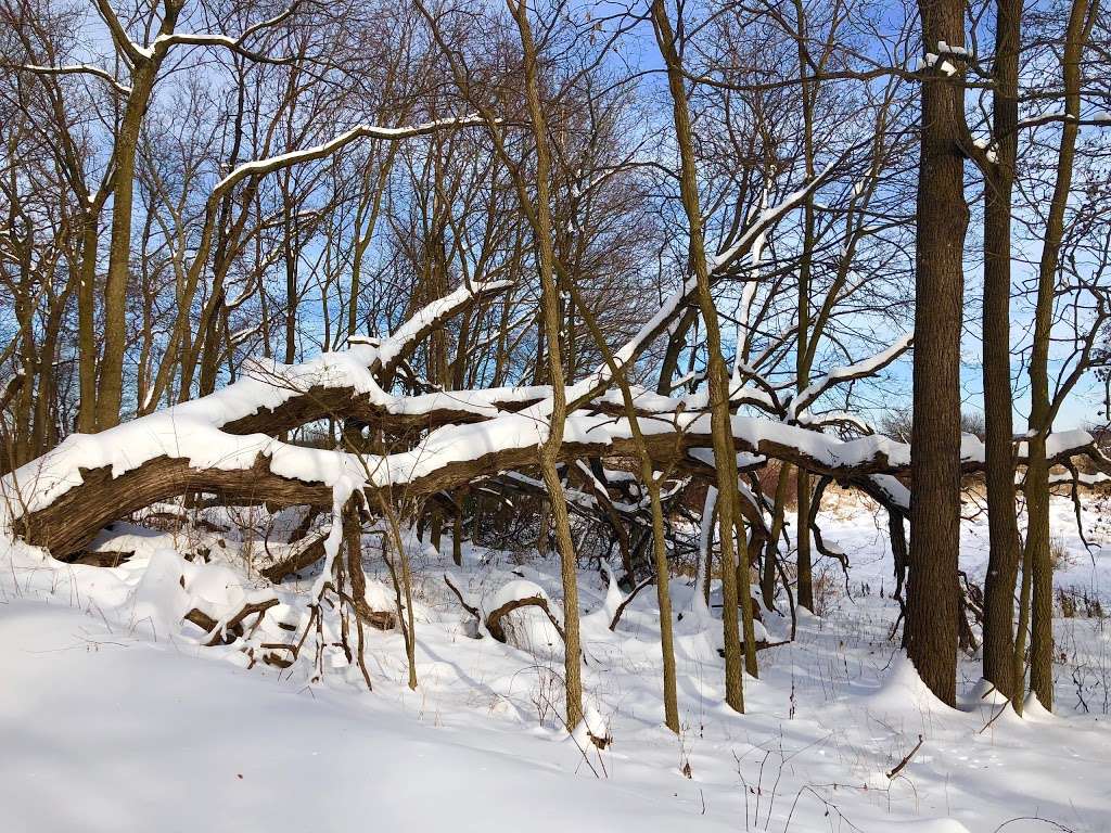 Chain OLakes State Park | 28450 James Rd, Spring Grove, IL 60081 | Phone: (847) 587-5512