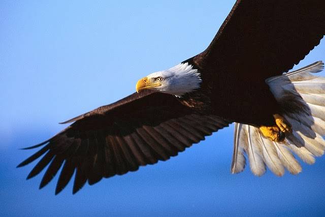 Beneath His Wings Counseling | 4945 Cable Ln, Colorado Springs, CO 80911, USA | Phone: (719) 321-4274