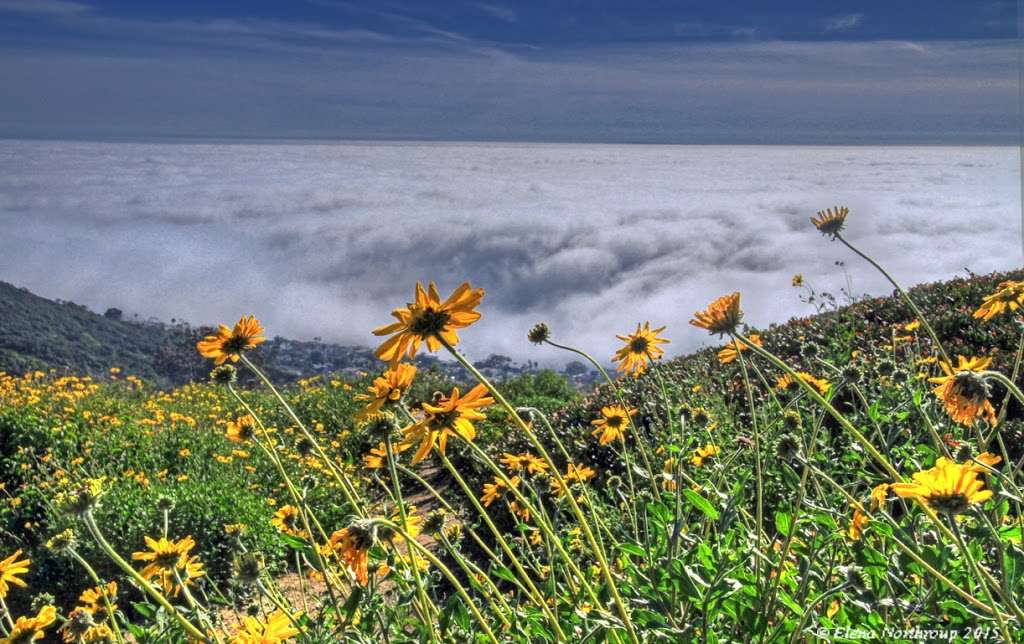 Badlands Park | 31671 Isle Vista, Laguna Niguel, CA 92677, USA | Phone: (949) 362-4300 Badlands Park | 31671 Isle Vista, Laguna Niguel, CA 92677, USA | Phone: (949) 362-4300