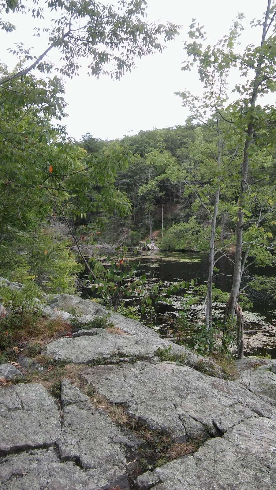 Pendleton Pond | Carmel Hamlet, NY 10512, USA