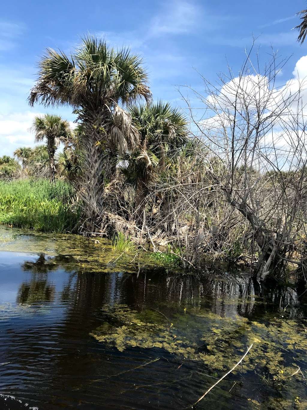 Upper St. Johns River Marsh Wildlife Management Area | Melbourne, FL 32904, USA | Phone: (386) 329-4404