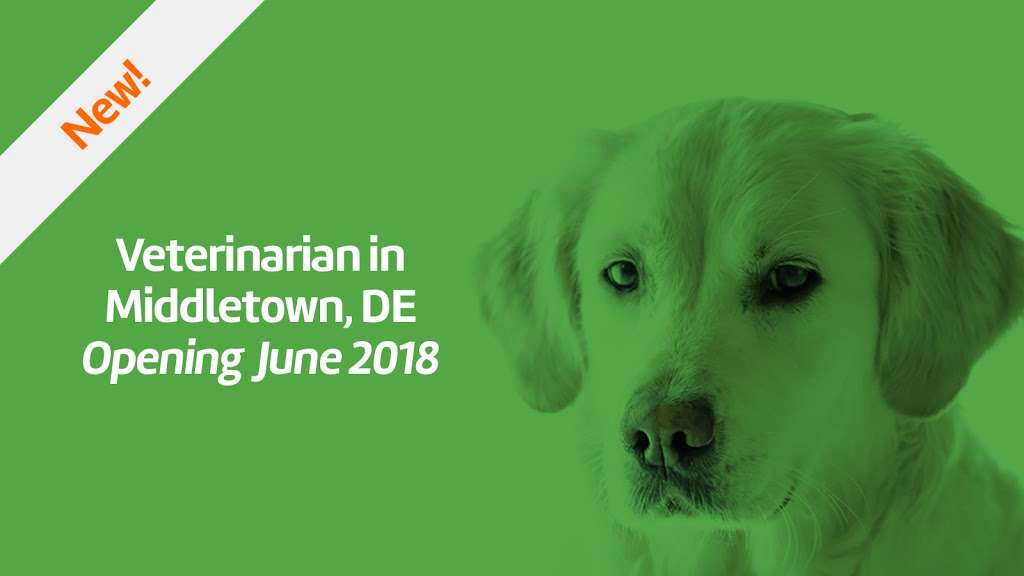 Companion Animal Veterinary Associates, LLC | Cricklewood Grove 5360 Summit Bridge Rd Suites 2 & 3, Middletown, DE 19709, USA | Phone: (302) 464-1255