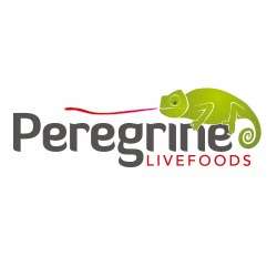 Peregrine Live Foods | Rolls Farm Barns, Chipping Ongar, Magdalen Laver, Ongar CM5 0EN, UK | Phone: 01279 438459