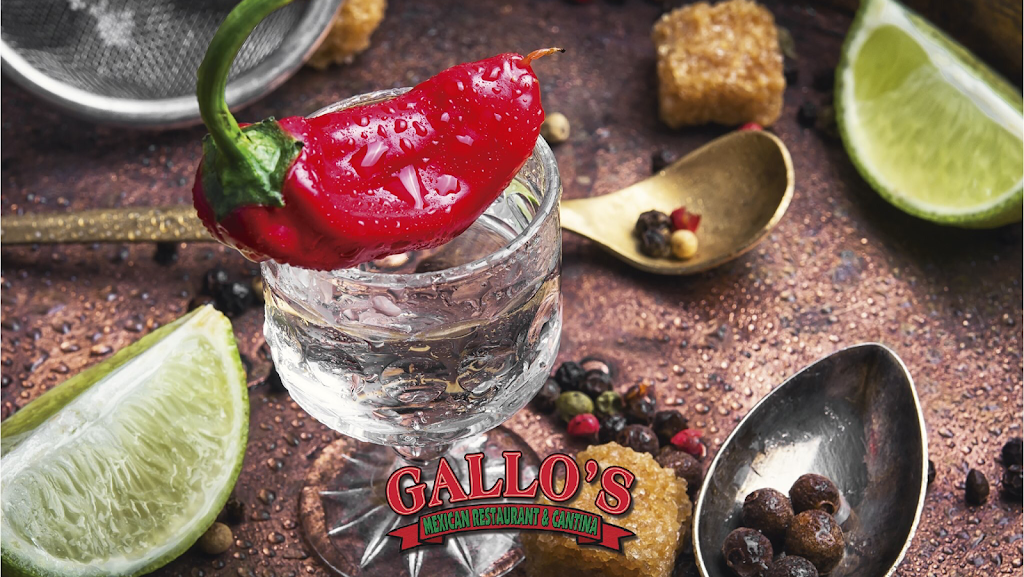 Gallos Mexican Restaurant | 8311 Arctic Blvd, Anchorage, AK 99518, USA | Phone: (907) 344-6735