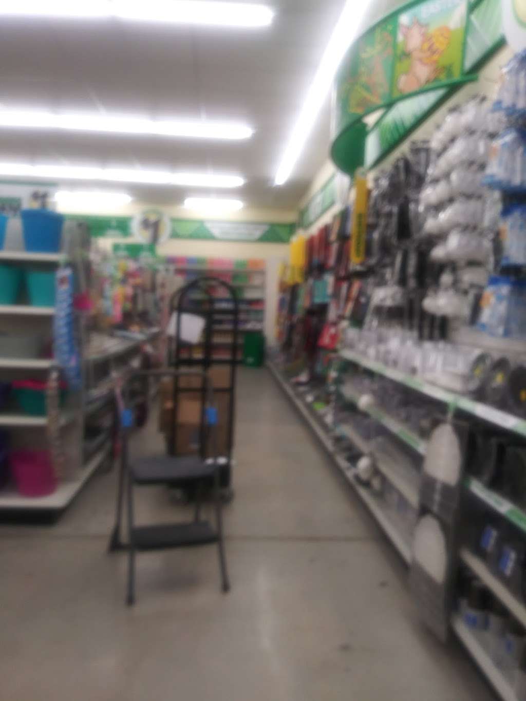 Dollar Tree | Houston, TX 77038