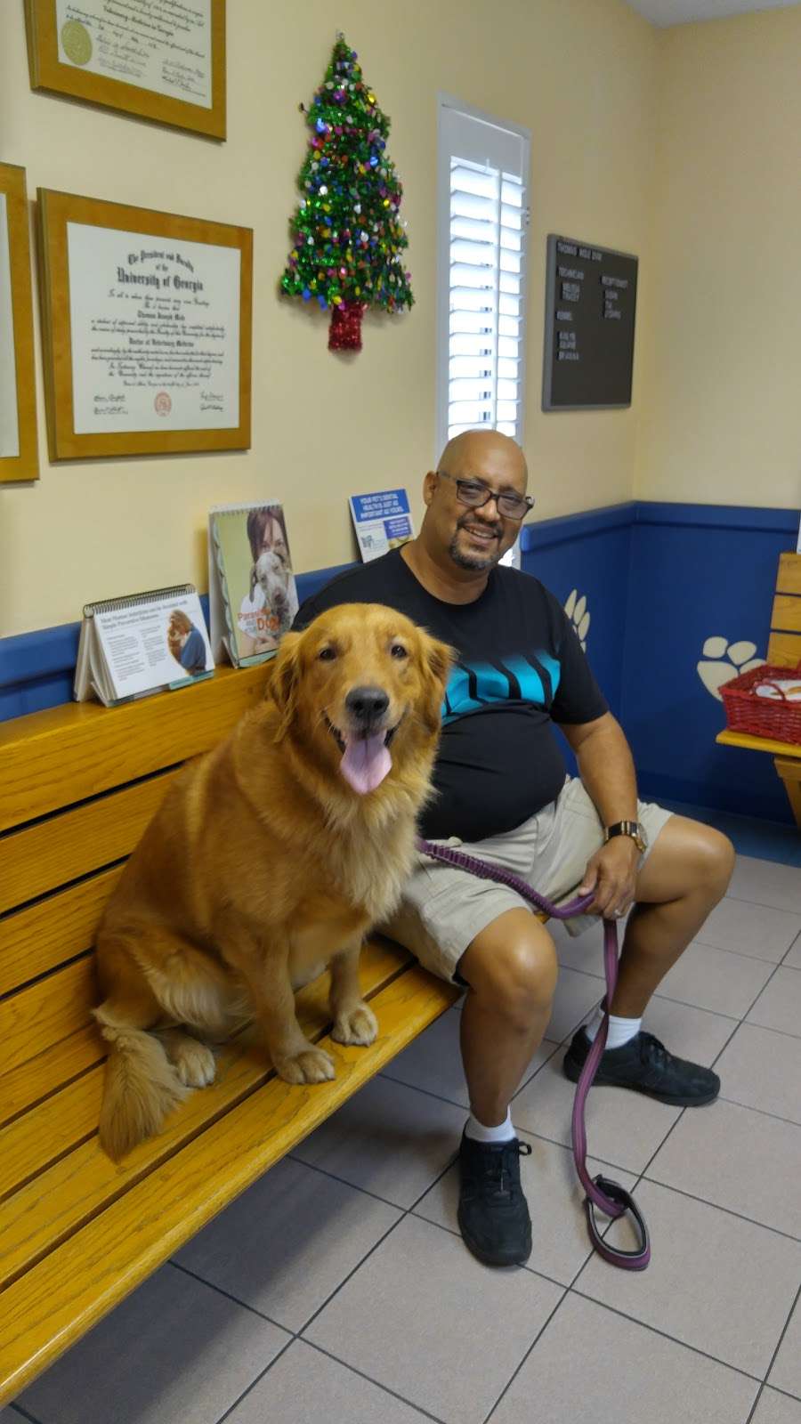 Curry Ford Animal Hospital | 7321 Curry Ford Rd, Orlando, FL 32822, USA | Phone: (407) 275-5397