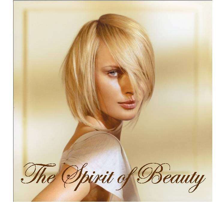 Cheveux Salon | 69 Monmouth St, Red Bank, NJ 07701, USA | Phone: (732) 450-9100