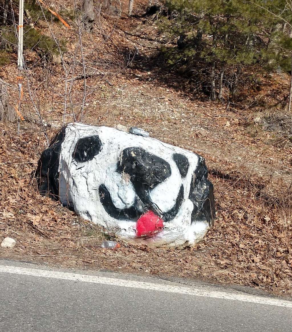 Dog Rock Trail In Walpole | Plimpton St, Walpole, MA 02081