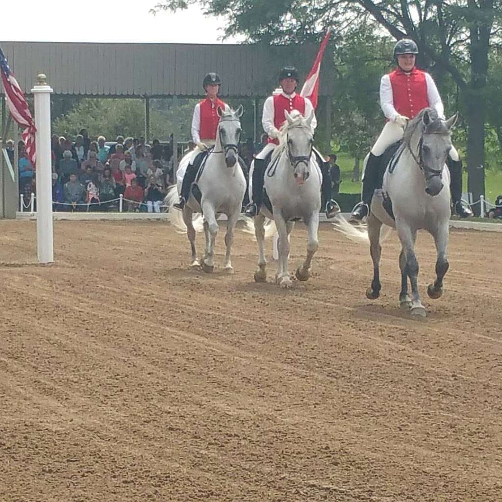 The Tempel Lipizzans | 17000 W Wadsworth Rd, Old Mill Creek, IL 60083, USA | Phone: (847) 244-5330