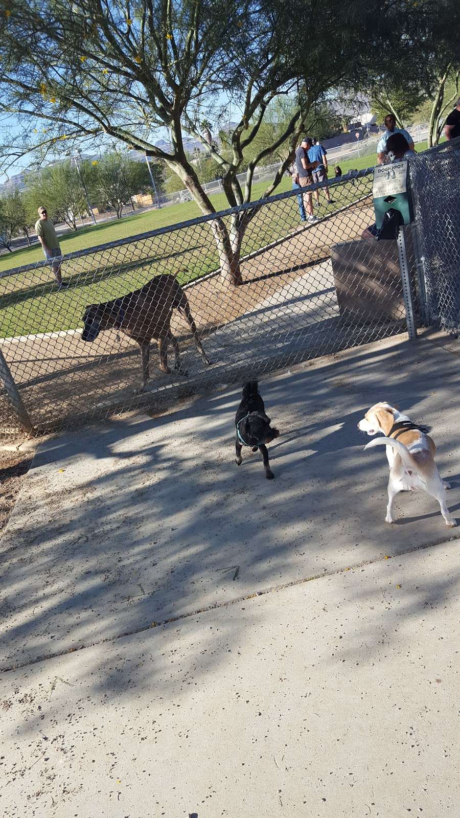 Equestrian Dog Park | Henderson, NV 89015 | Phone: (702) 267-4000