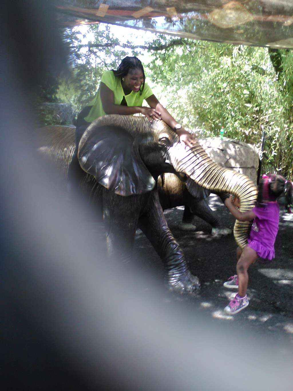 A.D. Martin Forest Aviary | 00344200000000000, Dallas, TX 75216