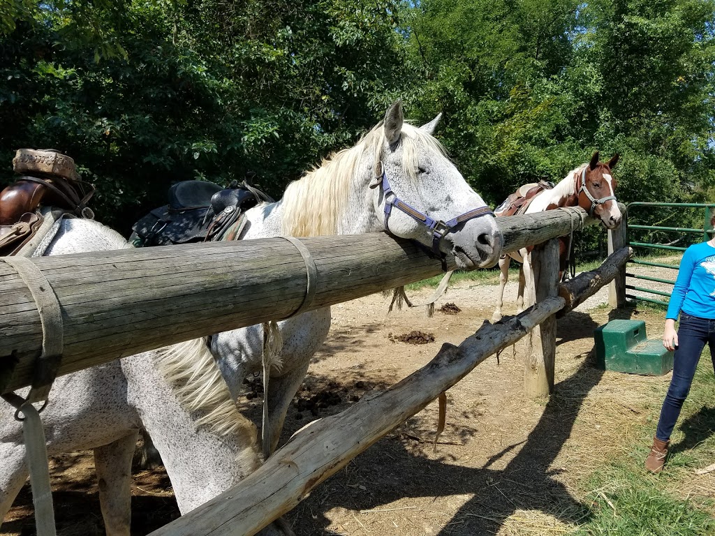 Grandpa Jeffs Trailrides | 5889 S Skinner Rd, Morgantown, IN 46160, USA | Phone: (812) 272-0702