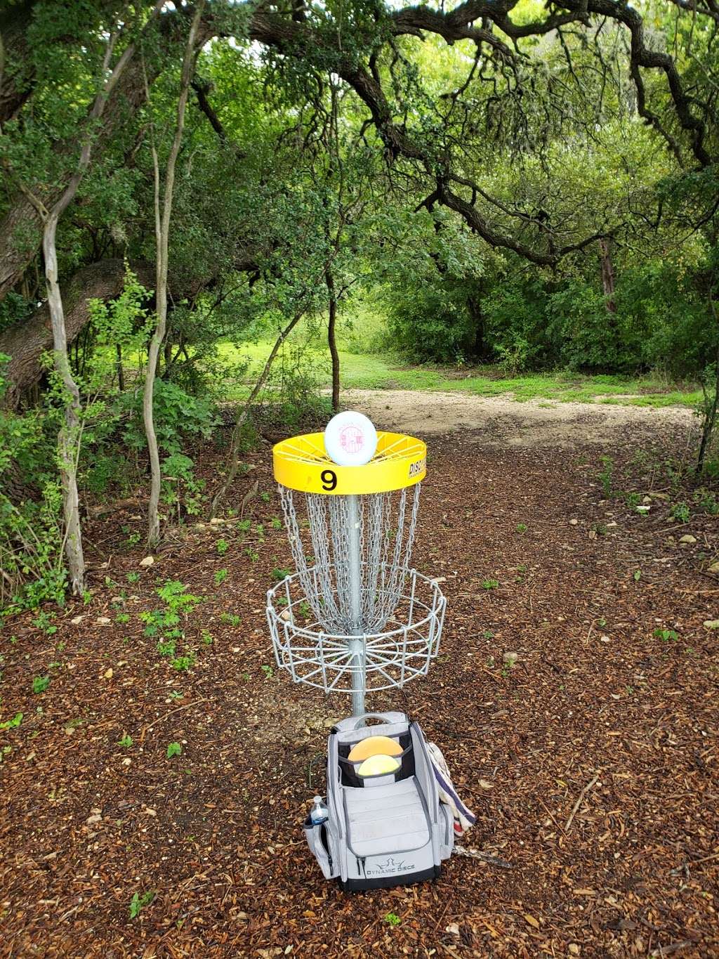 NW Vista College Disc Golf Course | 4617-, 4641 Wiseman Blvd, San Antonio, TX 78251, USA