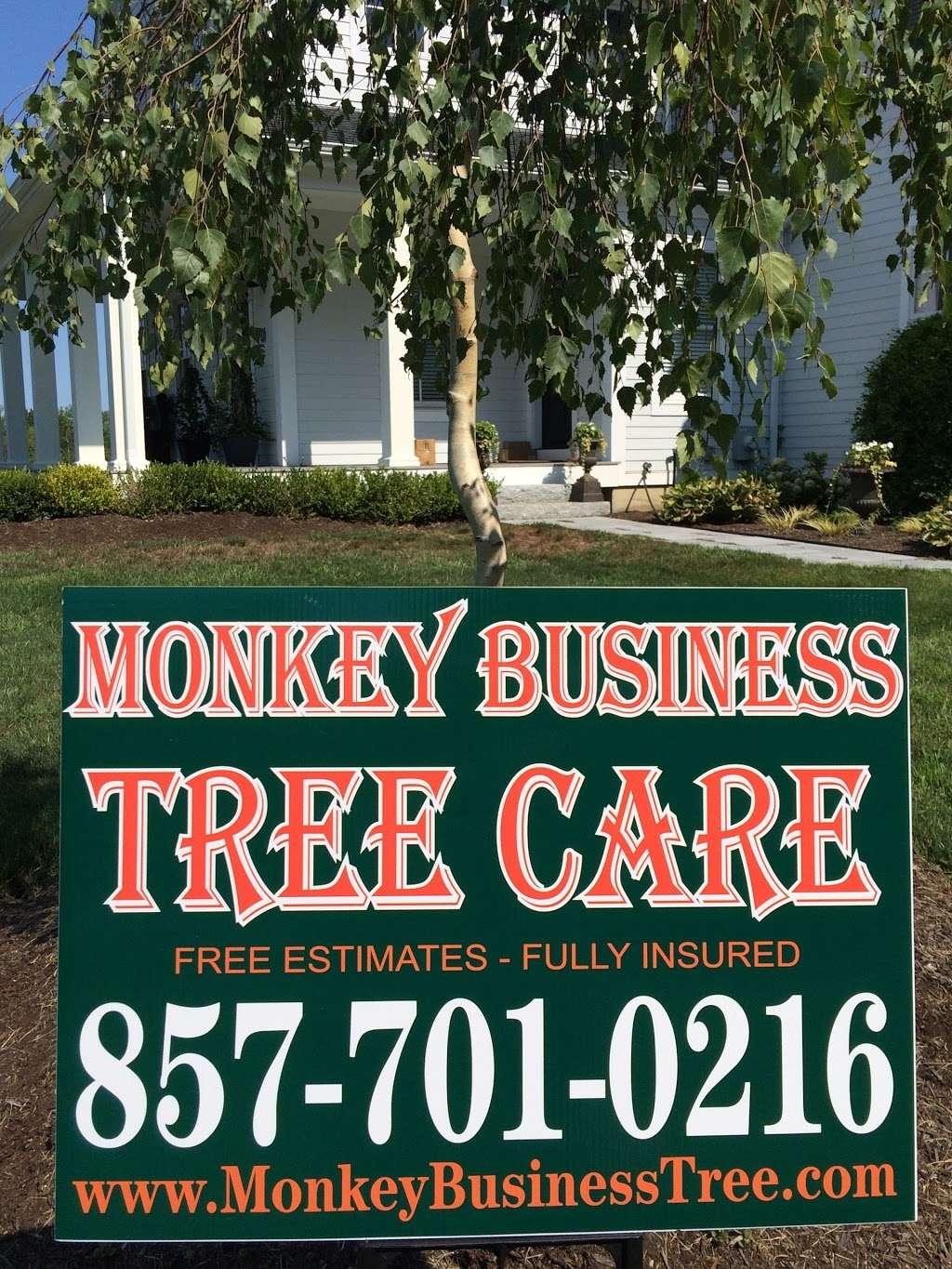 Monkey Business Tree Care LLC - Arborist, Tree Removal Service,  | 35 Kinney Ct, Stoughton, MA 02072, USA | Phone: (781) 202-9322