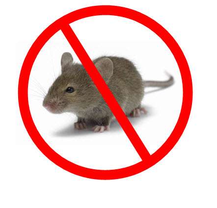 Nevada Pest Control - " Lou & Brenda " | 3520 Tack St, Las Vegas, NV 89122, USA | Phone: (702) 438-5956