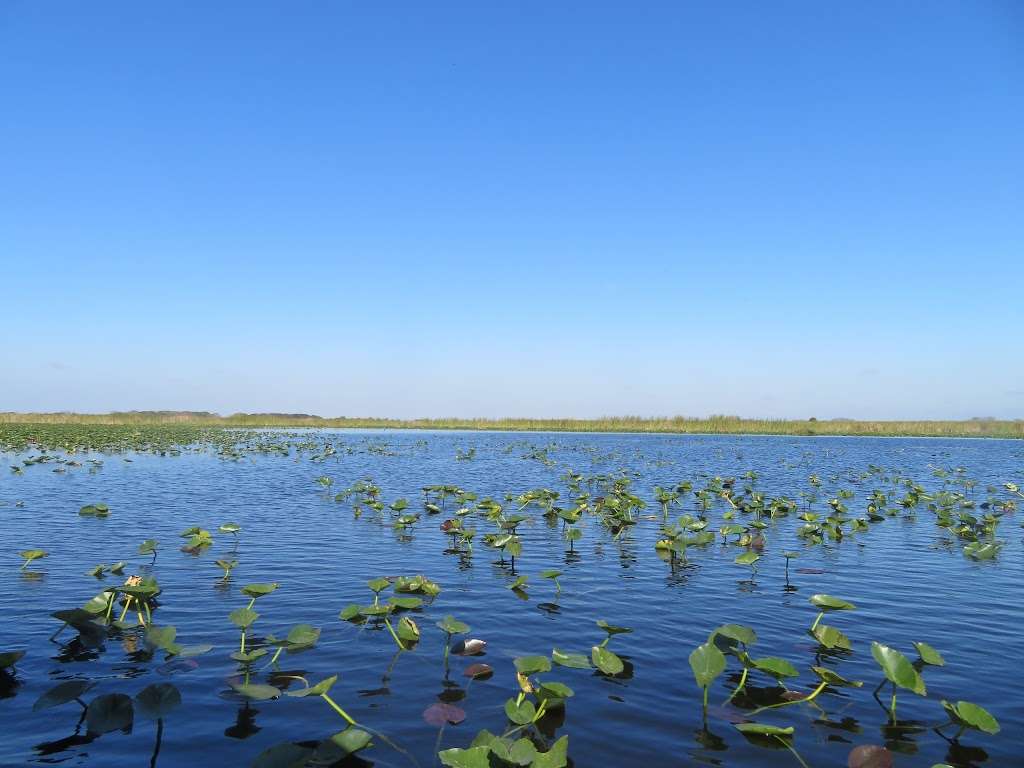 Everglades Wildlife Management Area - Water Conservation Area 2B | Tamarac, FL 33321 | Phone: (561) 625-5122