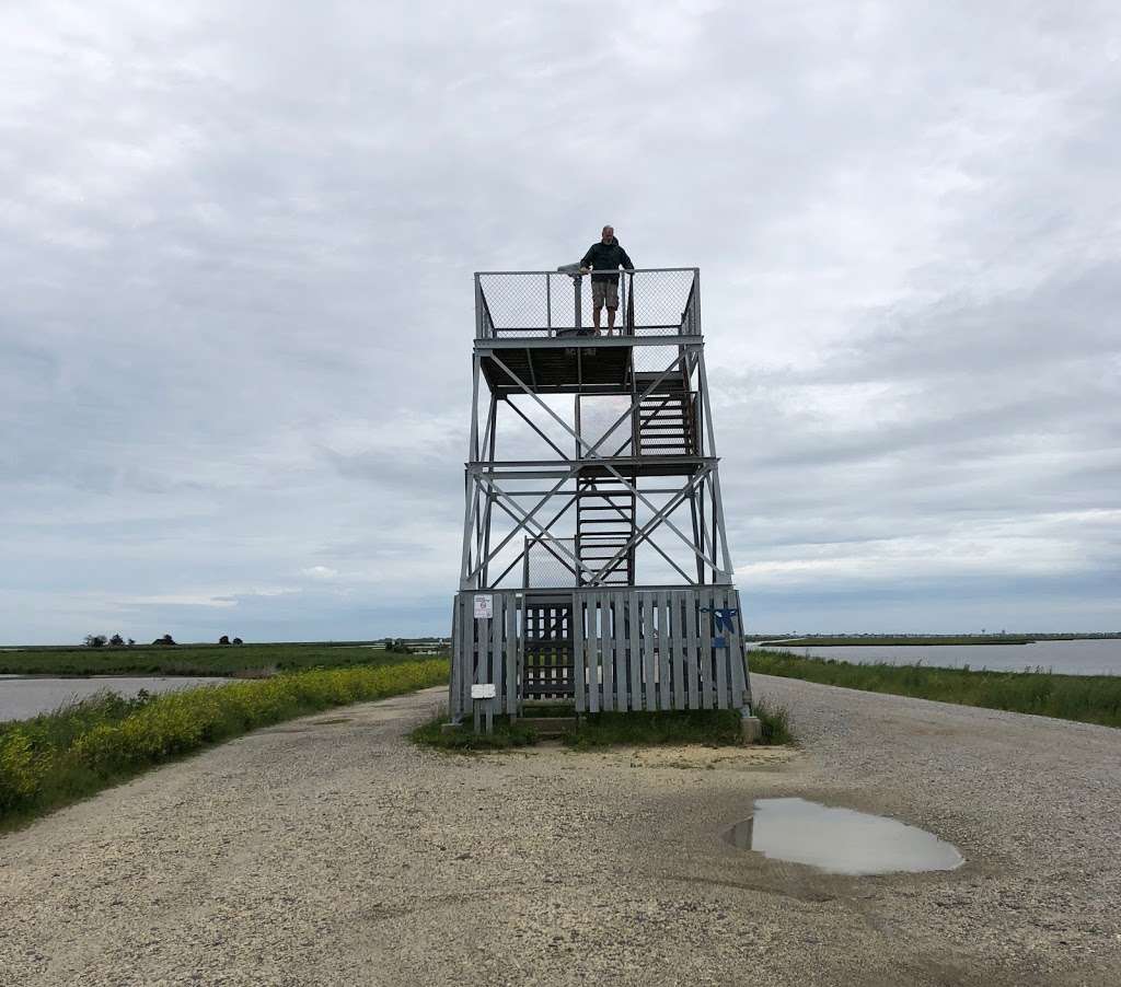 Forsythe Wildlife Refuge Brigantine | 733 E Lilly Lake Rd, Absecon, NJ 08205, USA