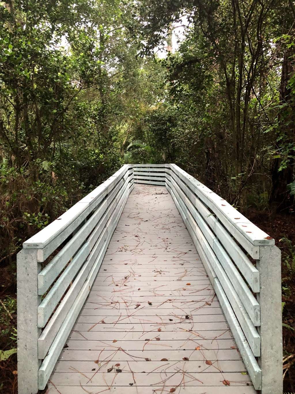 Doris Davis Forman Wilderness Preserve 7300 Parkside Dr Parkland FL 