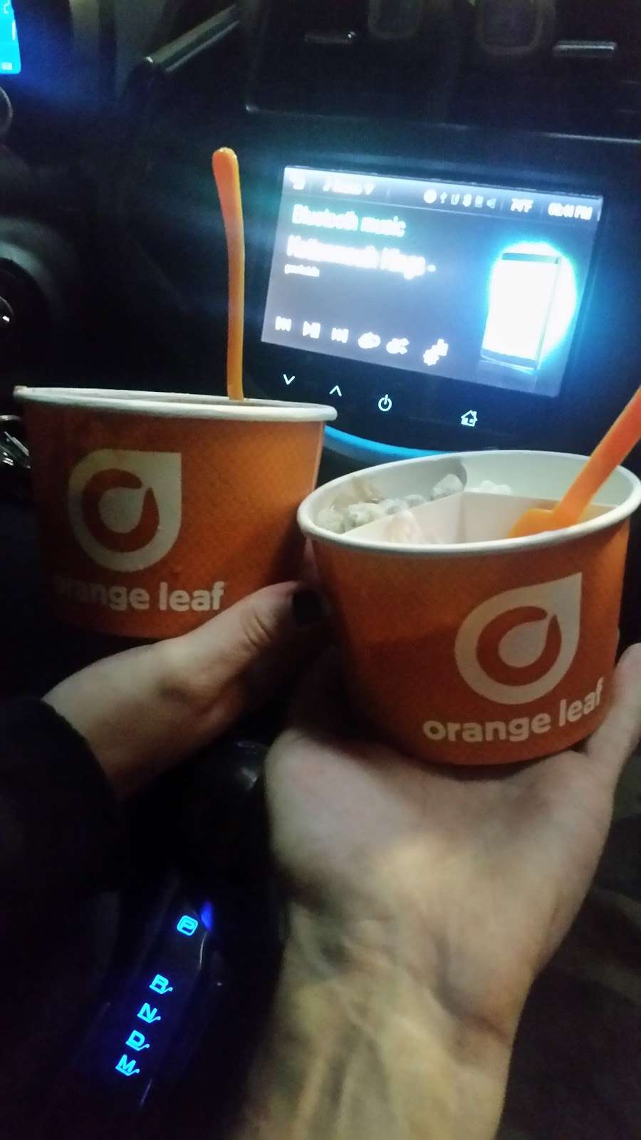 Orange Leaf Frozen Yogurt | 274 W 81st Ave, Dyer, IN 46311 | Phone: (219) 227-8054