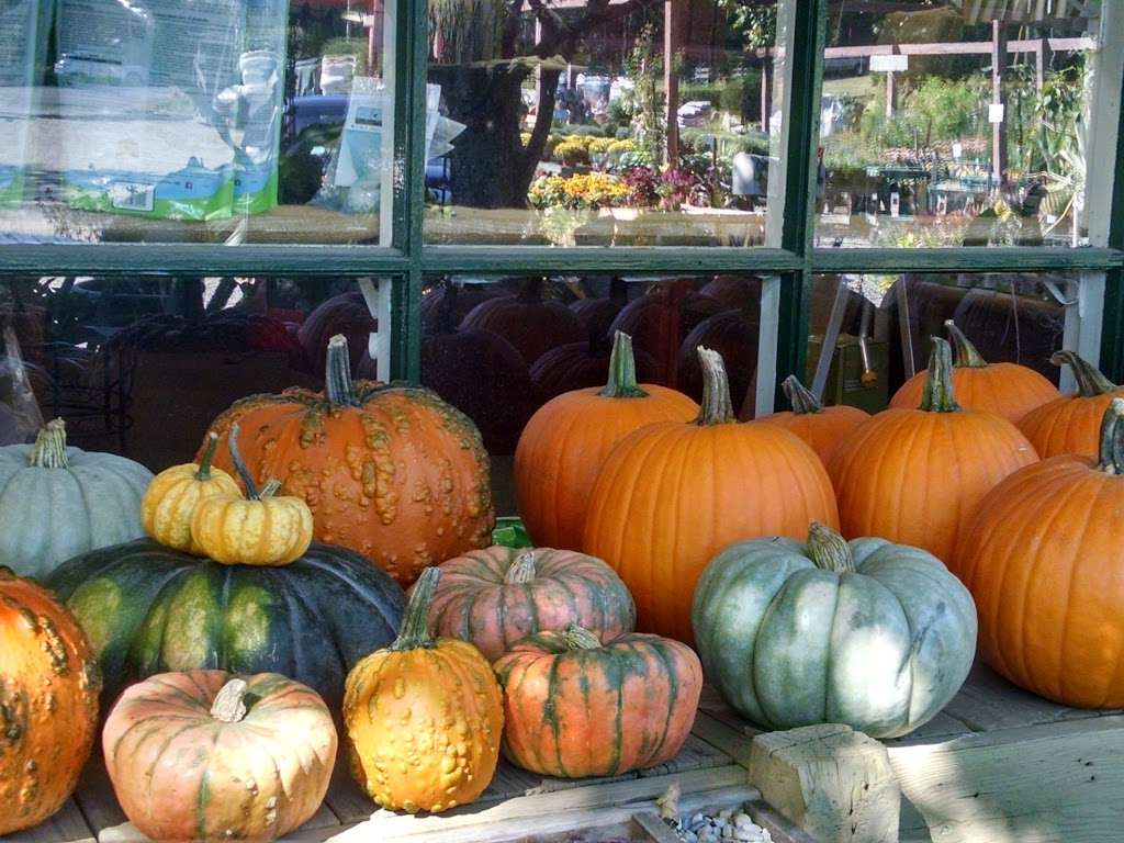 Whispering Pine Garden Center & Florist | 1 Windsor Rd, Yorktown Heights, NY 10598, USA | Phone: (914) 248-7444