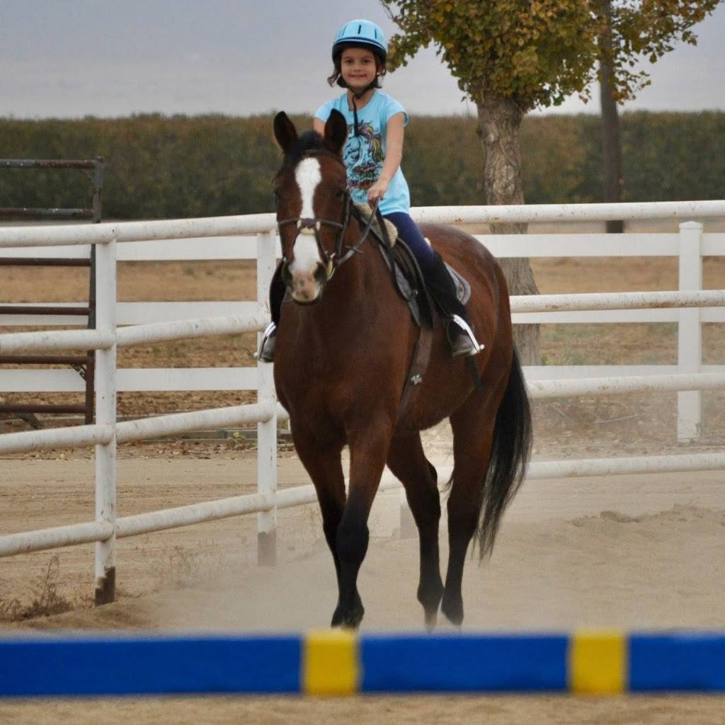 Kern Equestrian Academy | 6320 Krebs Rd, Bakersfield, CA 93308, USA | Phone: (561) 901-6695