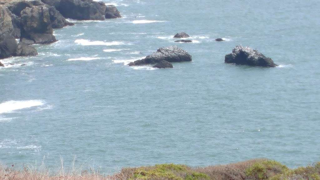 Rodeo Beach | San Francisco, CA 94123, USA