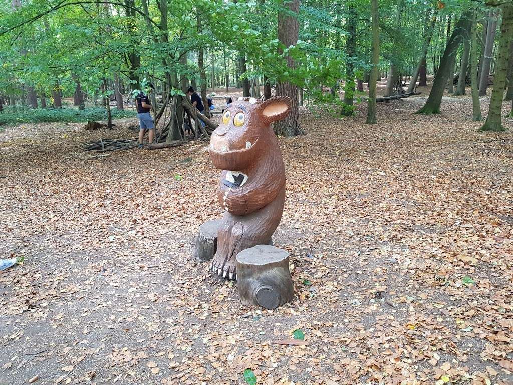 Gruffalo Trail | Thorndon Lodge, 29 Brentwood Rd, Ingrave, Warley, Brentwood CM13 3RE, UK