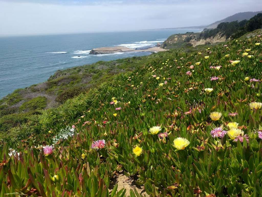 Pelican Rock Parking | Davenport, CA 95017, USA