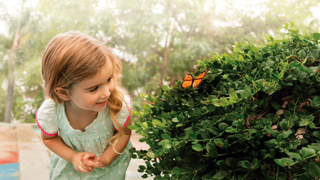 Primrose School of Copperfield | 15550 Ridge Park Dr, Houston, TX 77095, USA | Phone: (281) 858-5600