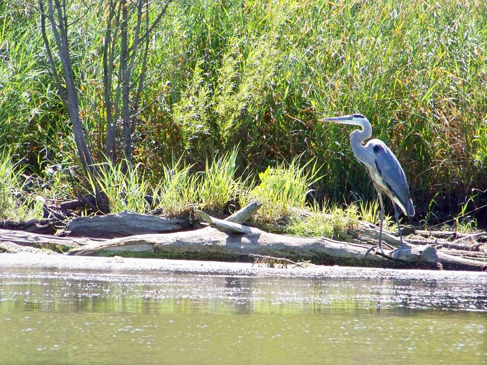 McHenry County Conservation District Administrative Offices | 18410 US-14, Woodstock, IL 60098, USA | Phone: (815) 338-6223