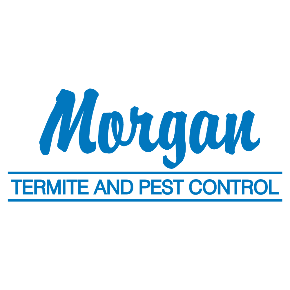Morgan Termite & Pest Control | 4980 Statz St Suite #150, North Las Vegas, NV 89081, USA | Phone: (702) 467-8224