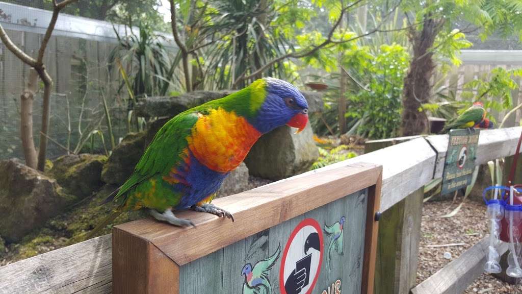 Lorikeet Lagoon | Chessington KT9 2NE, UK