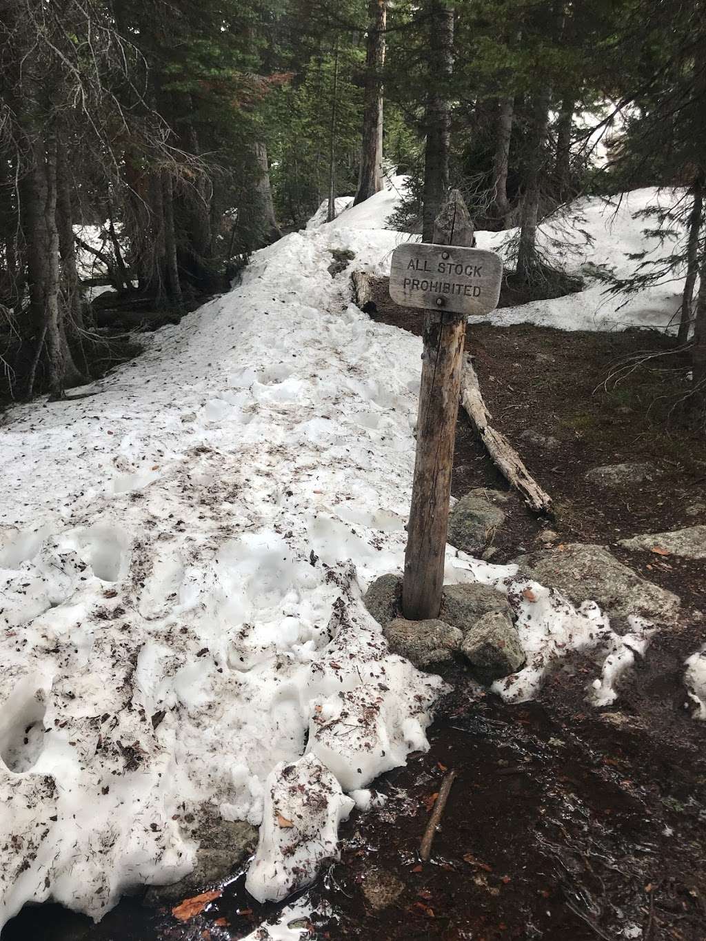 Ouzel Lake | Allenspark, CO 80510, USA