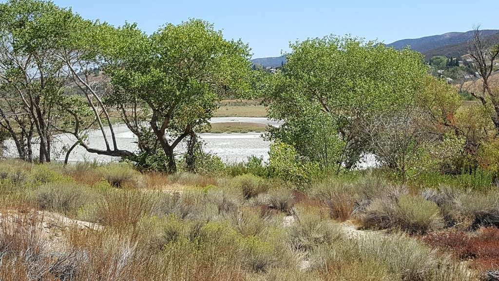 Lake Elizabeth Picnic Site in Lake Hughes, CA 93532, USA