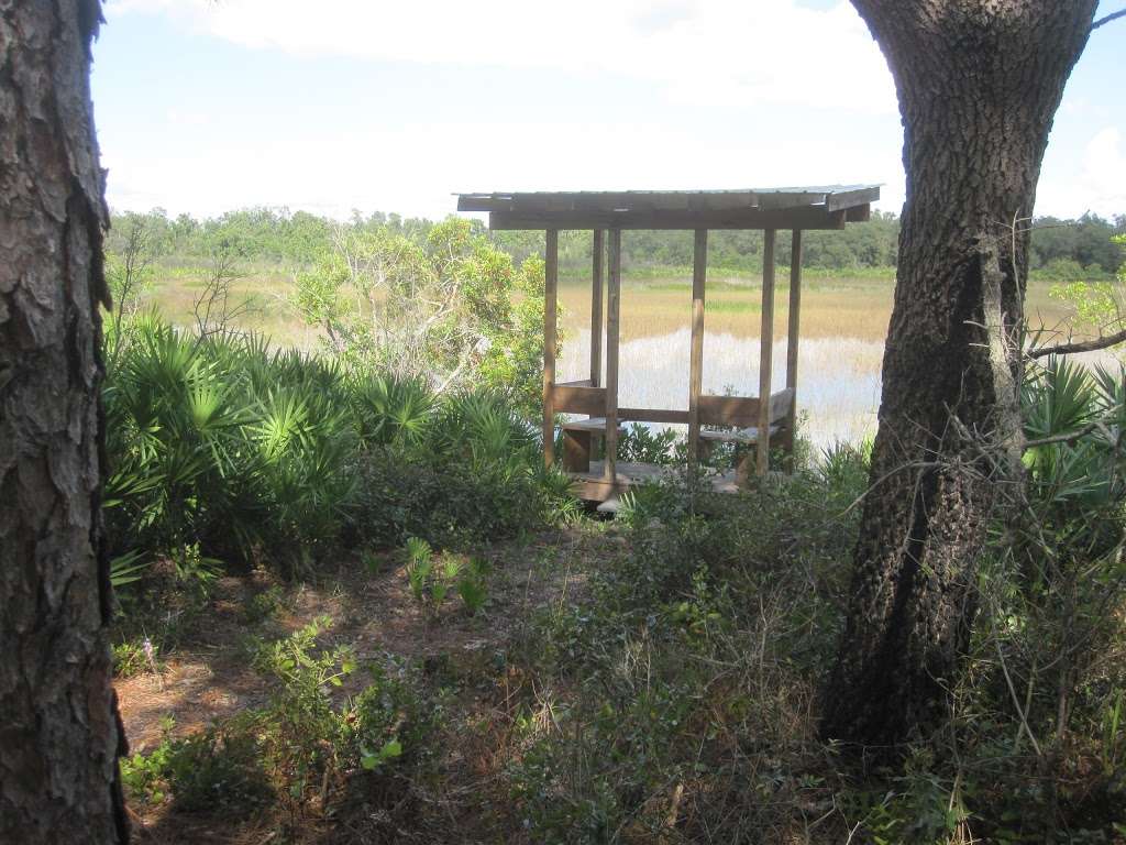 Tiger Creek Preserve | 674 Pfundstein Rd, Babson Park, FL 33827, USA | Phone: (863) 635-7506