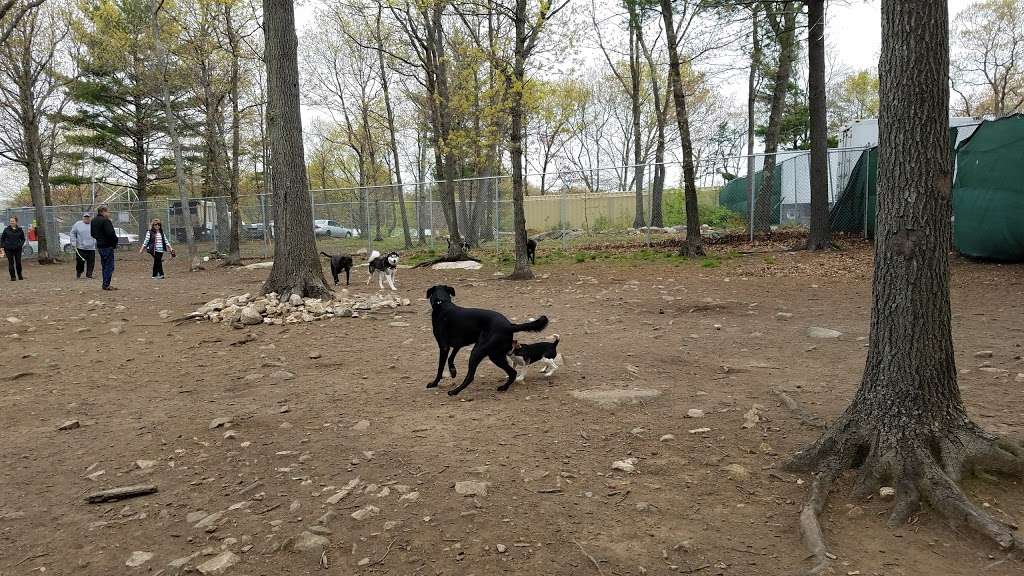 Beverly Dog Park | 46 L P Henderson Rd, Beverly, MA 01915, USA